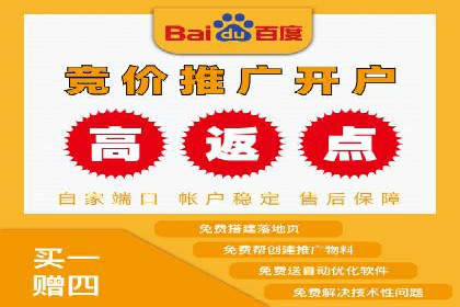 SEM广告投放的创意与执行：成功案例剖析