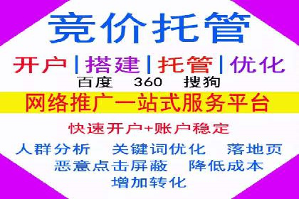 百度竞价代运营公司成功案例揭秘：策略与执行
