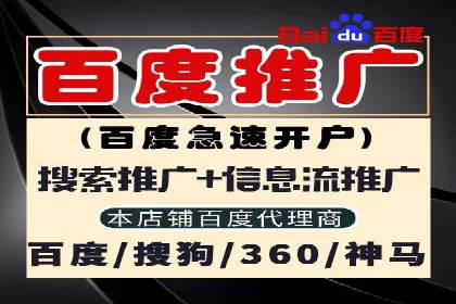 百度SEO推广策略调整：一个成功的调整案例